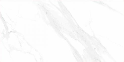 TFTL126116-2