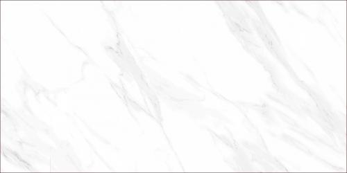 TFTL126116-6