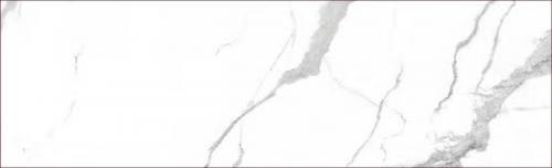 KGA8026005-2