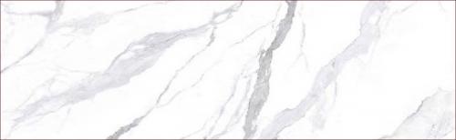KGA8026001-4