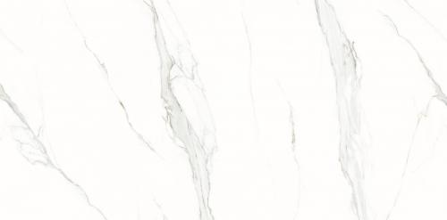 KJ918803