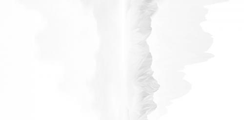 KJ918815