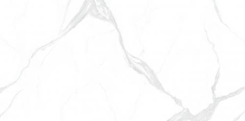 TSTP918808-2