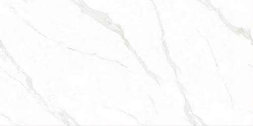 KT61205-4